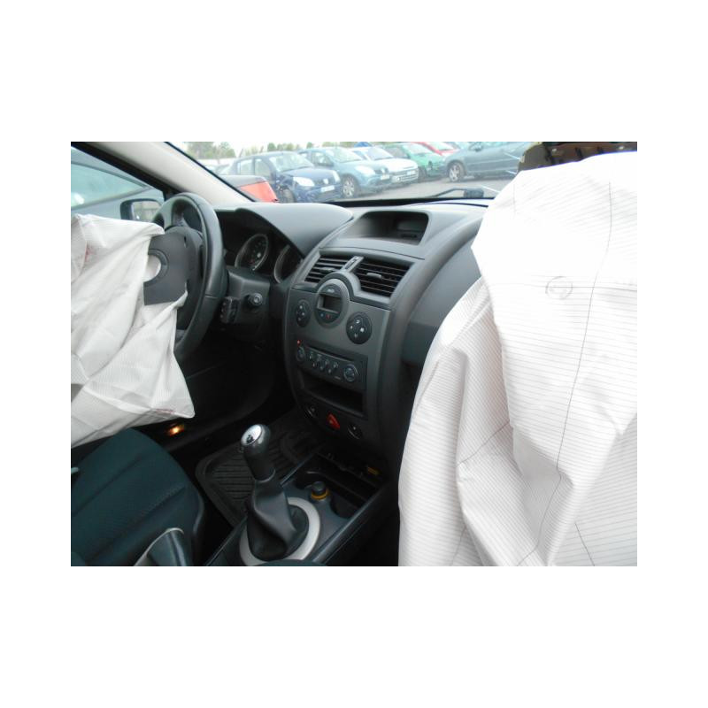 Eclairage de plafonnier RENAULT MEGANE 2 Photo n°7