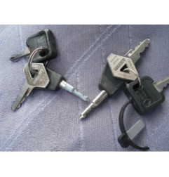Porte arriere gauche RENAULT R25