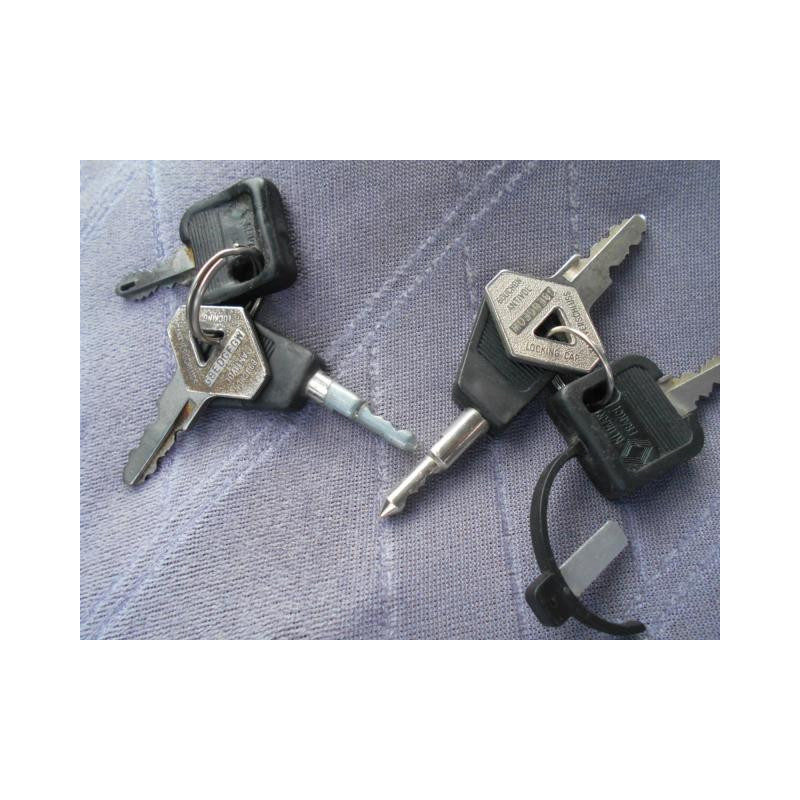 Porte avant droit RENAULT R25 Photo n°8