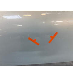 Porte avant gauche RENAULT CLIO 2