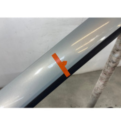Porte avant gauche RENAULT CLIO 2