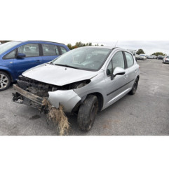 Porte avant gauche PEUGEOT 207