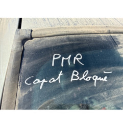 Custode arriere droit (porte) RENAULT CLIO 2