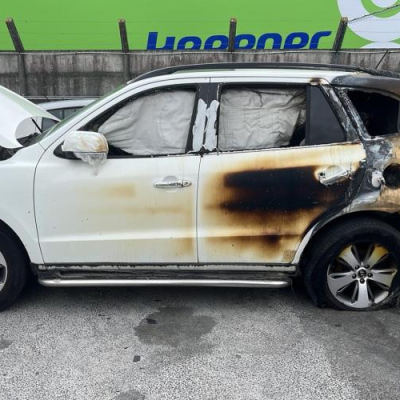 Custode arriere droit (porte) HYUNDAI SANTA FE 2 Photo n°7