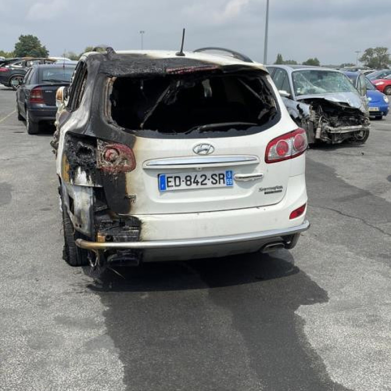 Custode arriere droit (porte) HYUNDAI SANTA FE 2 Photo n°10