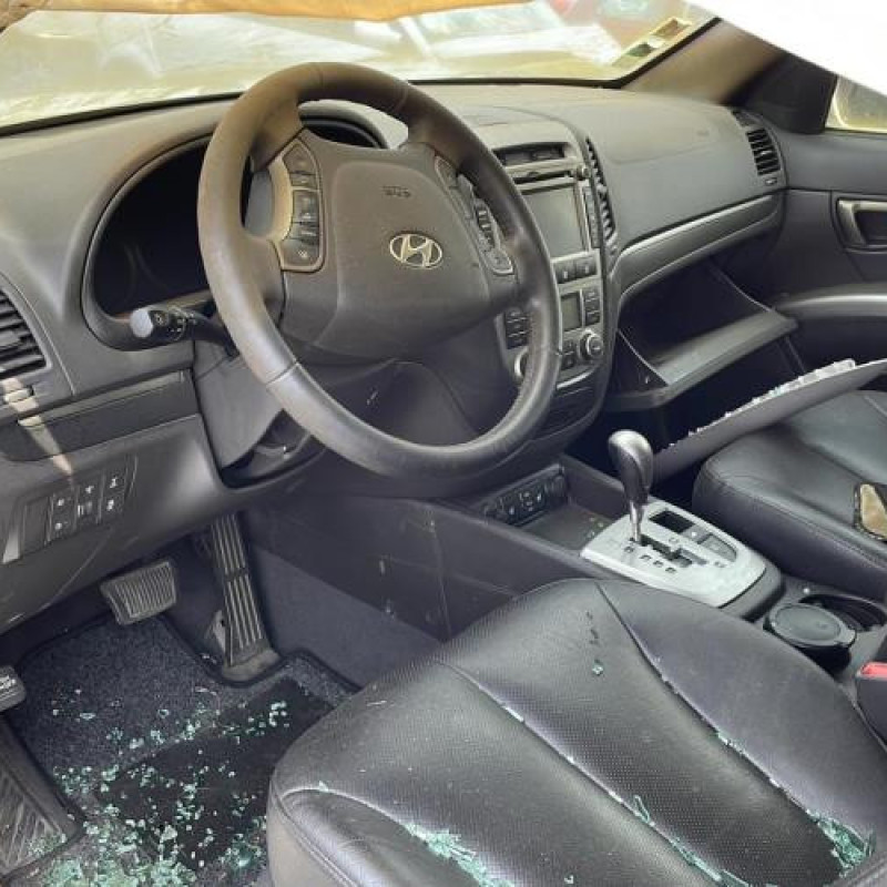 Custode arriere droit (porte) HYUNDAI SANTA FE 2 Photo n°14