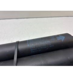 Verin de coffre BMW SERIE 5 F11
