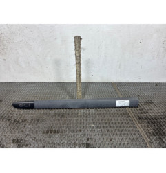 Baguette de porte avant gauche RENAULT CLIO 2