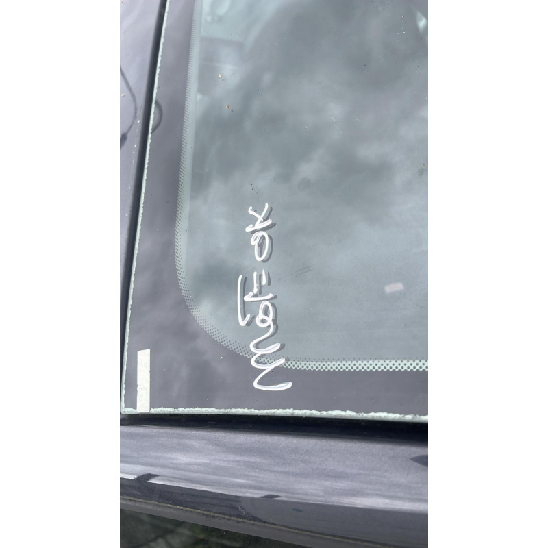 Boitier UCH RENAULT MEGANE 3 Photo n°18