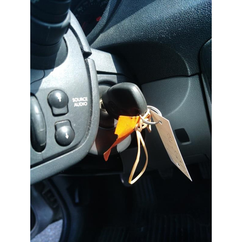 Boitier UCH RENAULT CLIO 3 Photo n°10