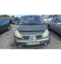 Pedale d'accelerateur RENAULT SCENIC 2