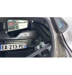 Porte arriere gauche RENAULT CLIO 4