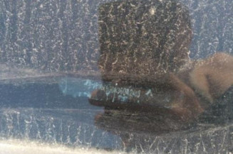 Pedale d'accelerateur RENAULT CLIO 3