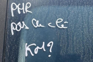 Pedale d'accelerateur RENAULT CLIO 3