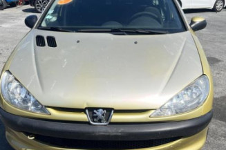 Feu arriere principal gauche (feux) PEUGEOT 206