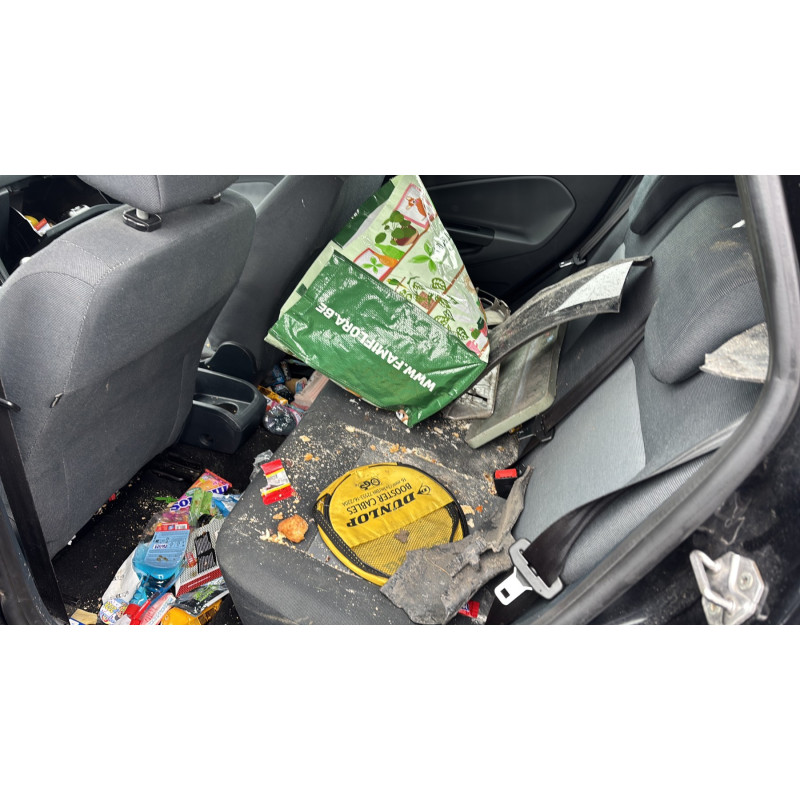 Fermeture de capot FORD FIESTA 6 Photo n°18
