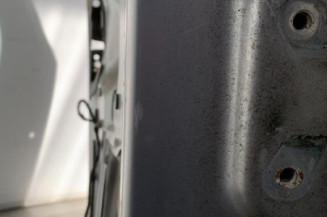 Porte arriere gauche SKODA FABIA 2