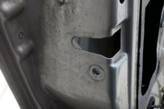Porte arriere gauche SKODA FABIA 2