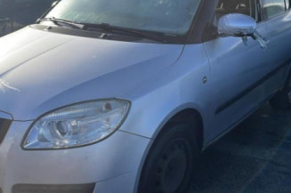 Porte arriere gauche SKODA FABIA 2