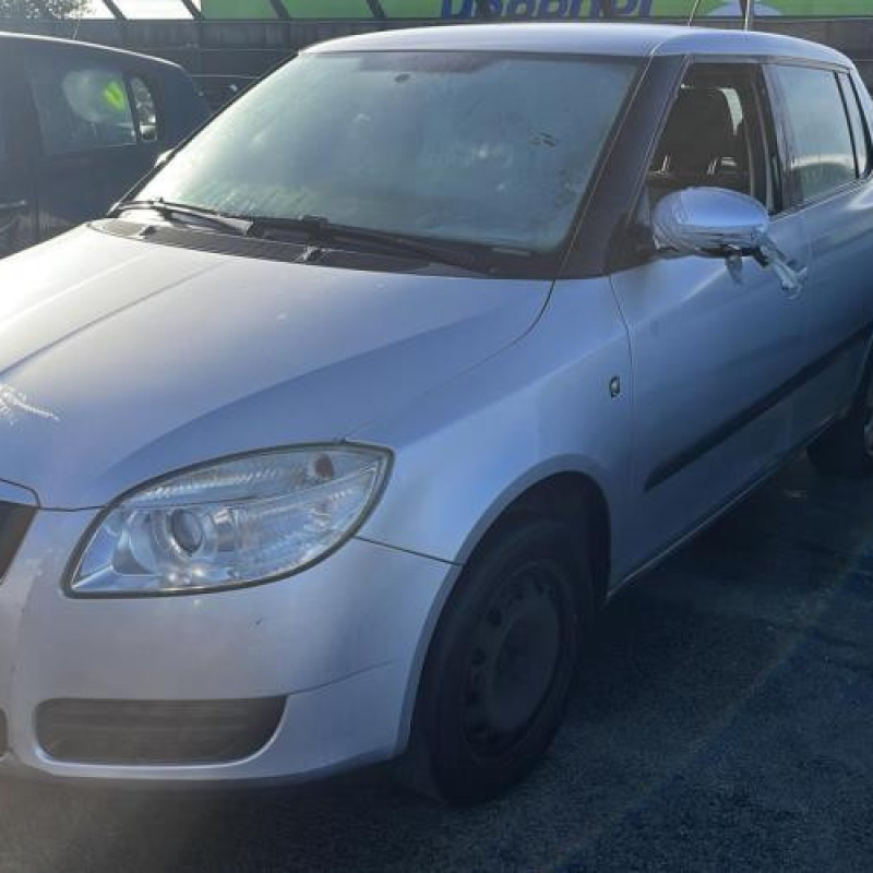 Porte arriere gauche SKODA FABIA 2 Photo n°8