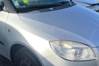 Porte arriere gauche SKODA FABIA 2