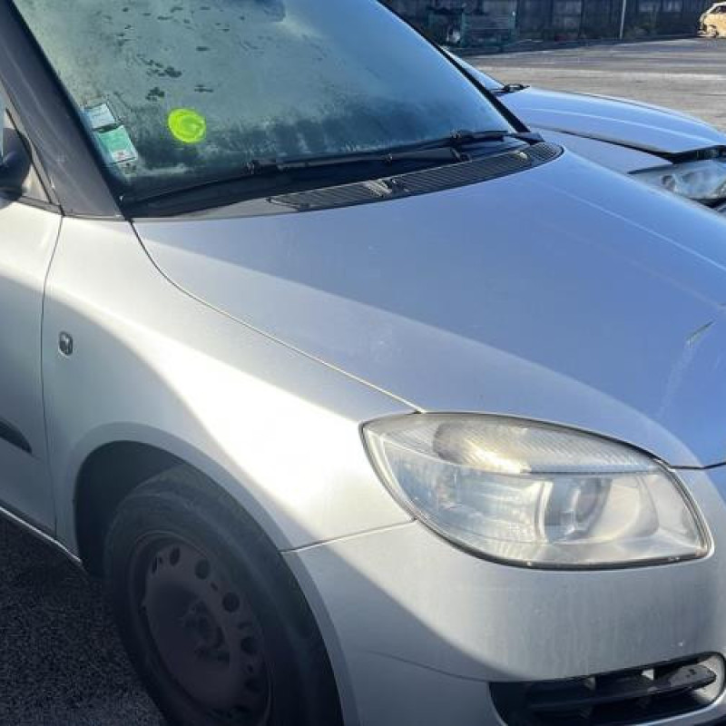 Porte arriere gauche SKODA FABIA 2 Photo n°9