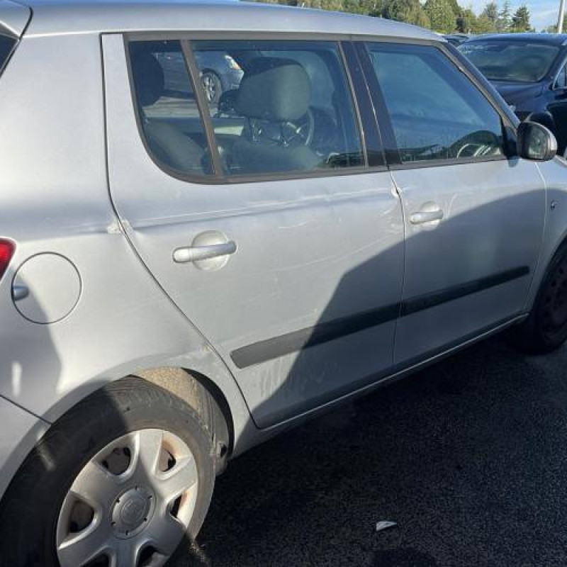 Porte arriere gauche SKODA FABIA 2 Photo n°10
