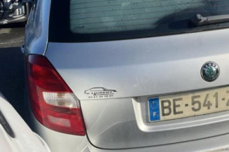 Porte arriere gauche SKODA FABIA 2