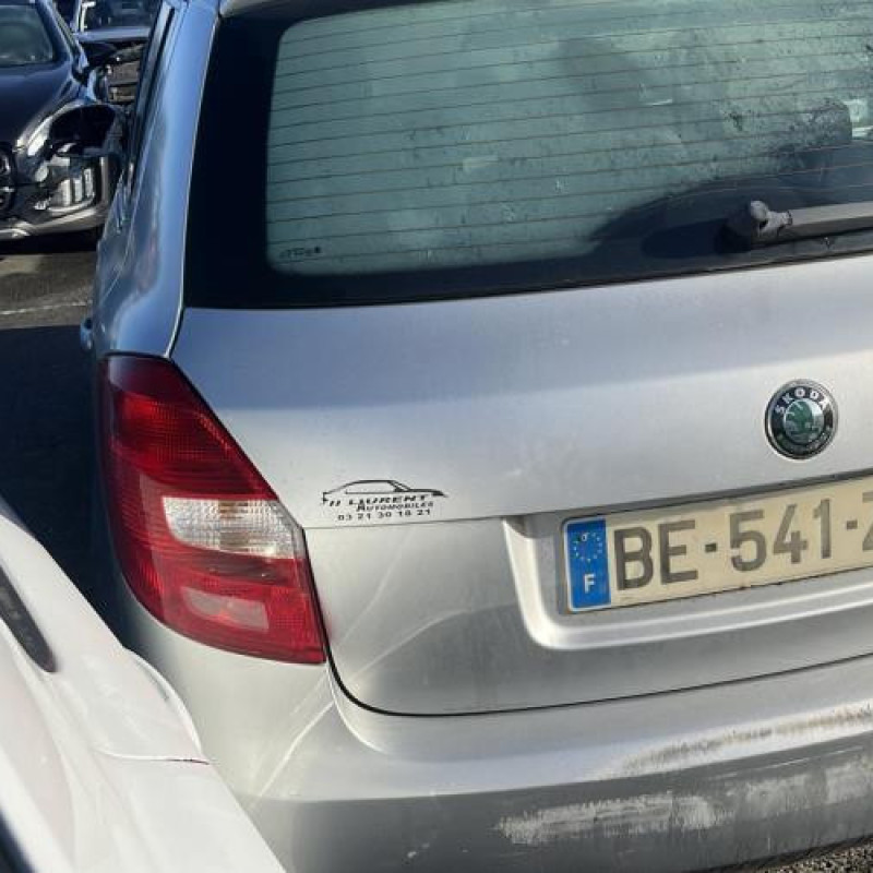 Porte arriere gauche SKODA FABIA 2 Photo n°11
