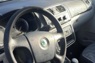 Porte arriere gauche SKODA FABIA 2