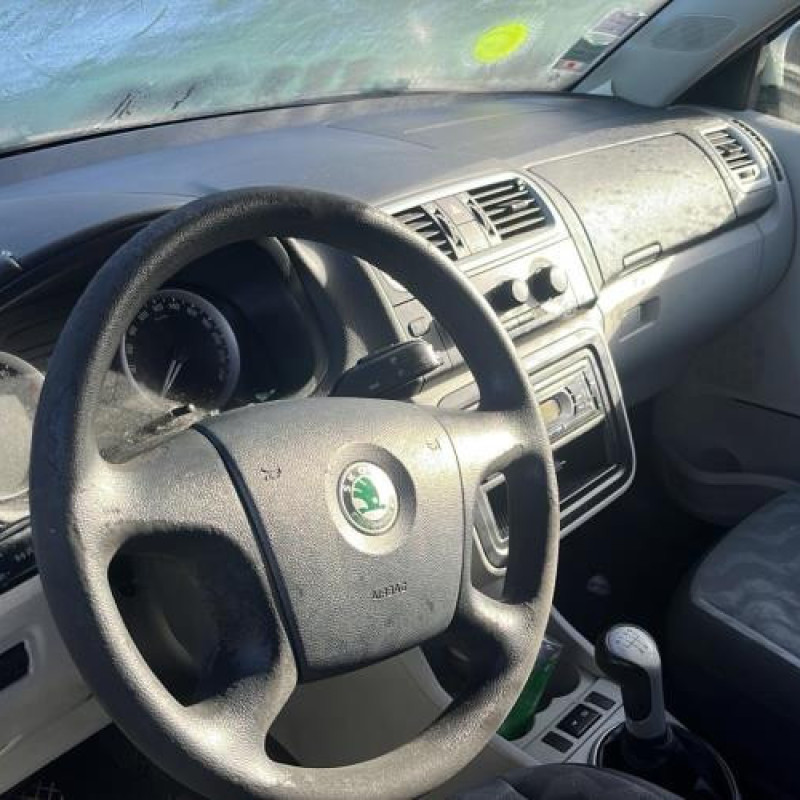 Porte arriere gauche SKODA FABIA 2 Photo n°12