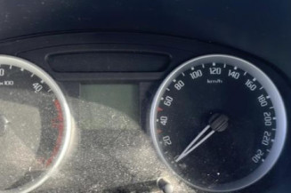 Porte arriere gauche SKODA FABIA 2