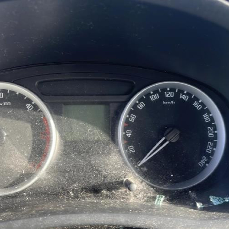 Porte arriere gauche SKODA FABIA 2 Photo n°14