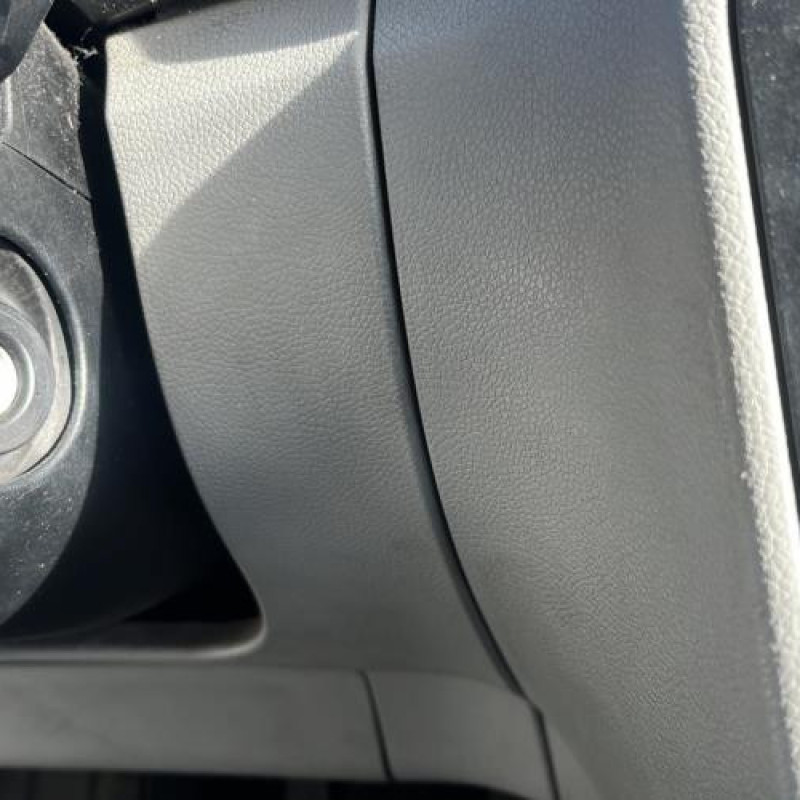 Porte arriere gauche SKODA FABIA 2 Photo n°15
