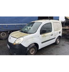 Porte de coffre droit RENAULT KANGOO 2