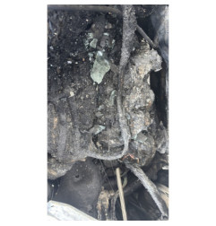 Pare choc avant RENAULT TRAFIC 2