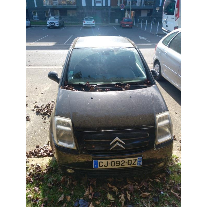 Capot CITROEN C2 Photo n°13