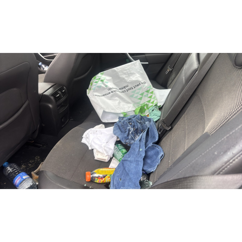 Vitre arriere gauche OPEL INSIGNIA 1 Photo n°18