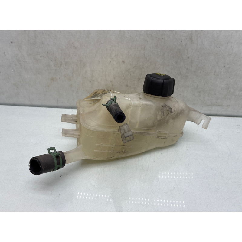 Vase d'expansion RENAULT SCENIC 3 Photo n°1