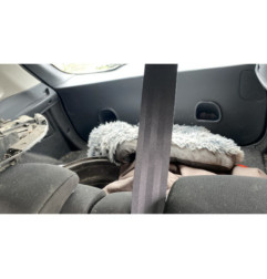Porte arriere droit RENAULT CLIO 4