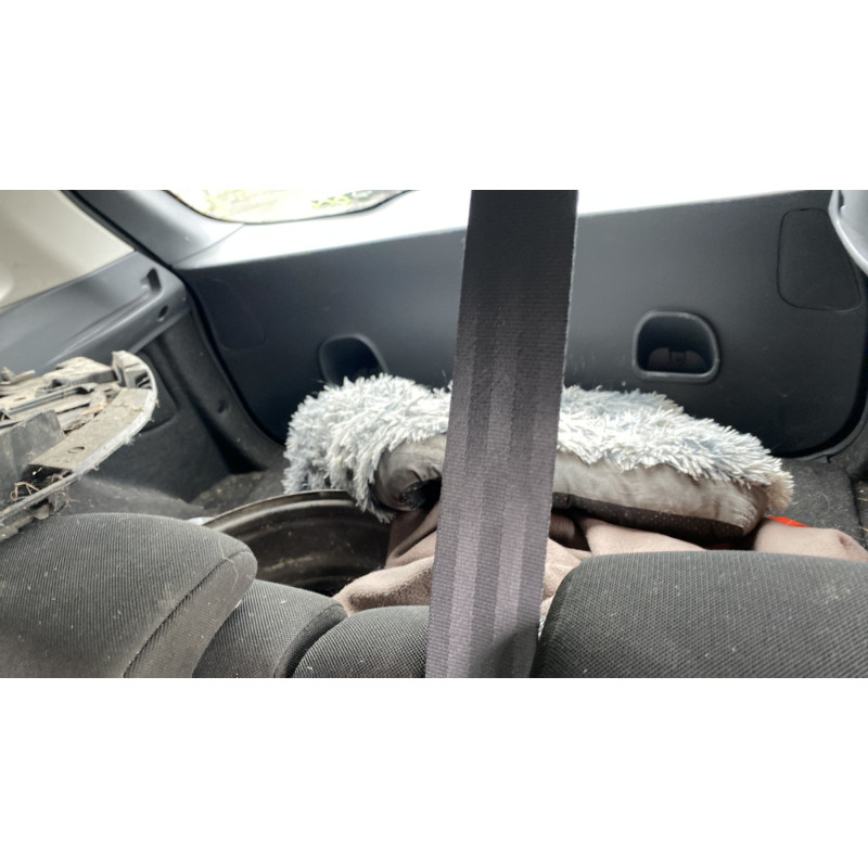 Porte arriere droit RENAULT CLIO 4 Photo n°17