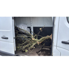 Pretensionneur de ceinture avant droit RENAULT MASTER 3