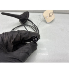 Antenne RENAULT CLIO 2 CAMPUS Photo n°1