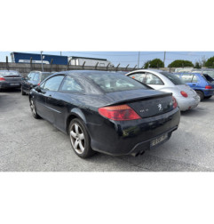 Poignee porte avant gauche PEUGEOT 407