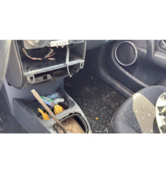 Custode arriere gauche (porte) RENAULT CLIO 3