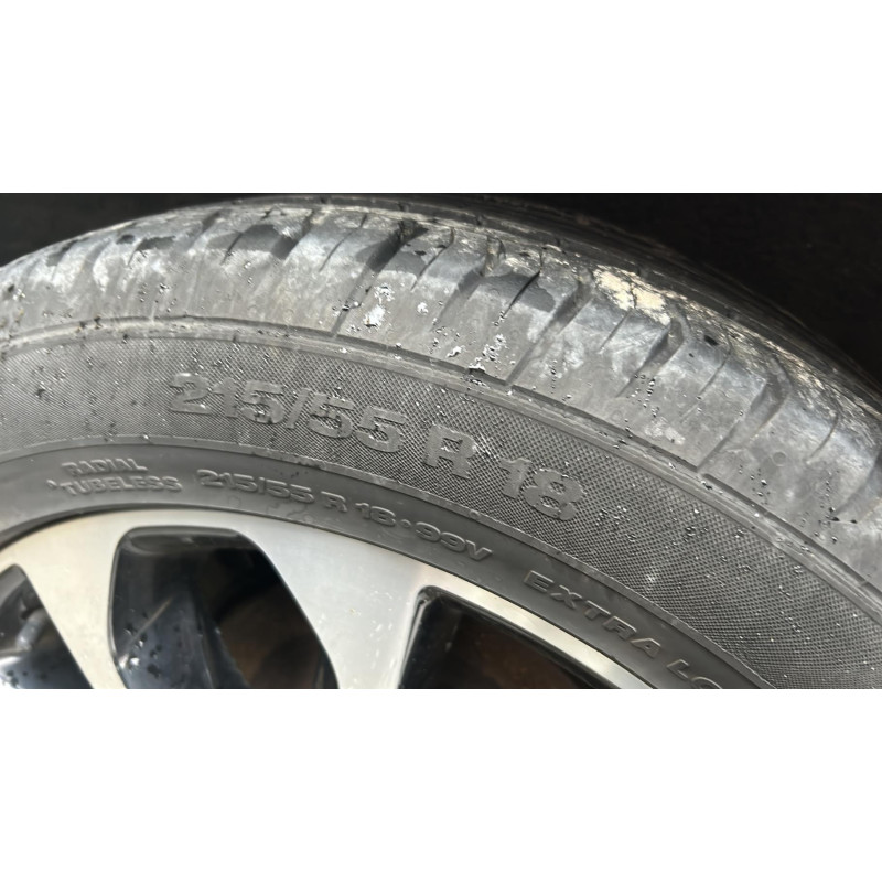 Etrier arriere gauche (freinage) NISSAN QASHQAI 1 Photo n°13
