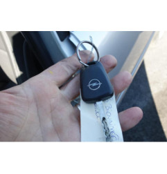Custode avant gauche (porte) OPEL ZAFIRA B