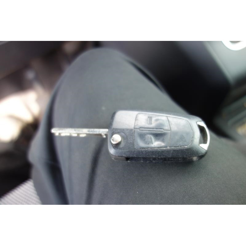 Custode avant droit (porte) OPEL ZAFIRA B Photo n°7