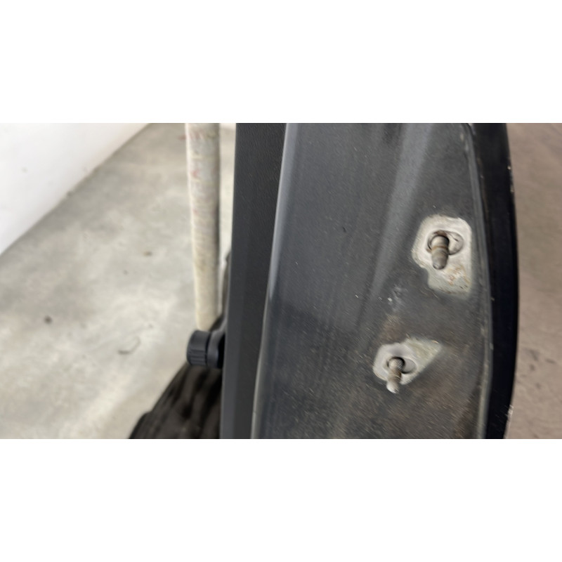 Porte arriere gauche DACIA SANDERO 1 Photo n°4