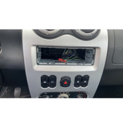 Porte arriere gauche DACIA SANDERO 1